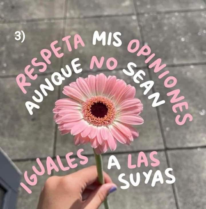 Buenos días buenos días🤍🌈✨
Que la vida les brille muy bonito a todos🤍🩷