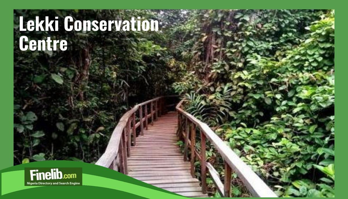 finelib's tweet image. Discover the rich history and natural beauty of Lekki Conservation Centre in Lagos. Walk through the treetop canopy and witness breathtaking views.  buff.ly/3tPaGJl 

#LagosAttractions #NatureConservation #funzone #recreationalcenter #Lagos