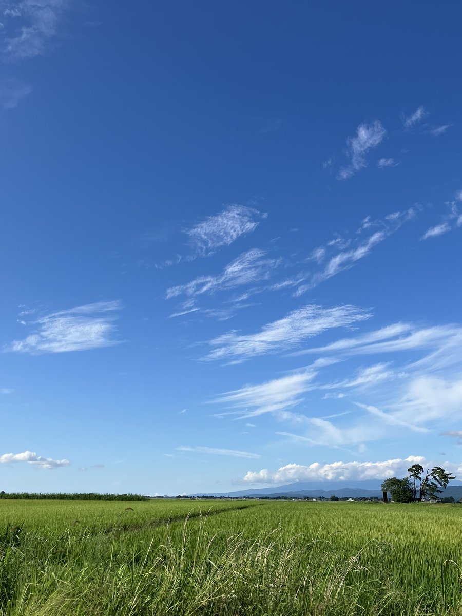 Lyaco's tweet photo. ええ天気でしたん。 https://t.co/vRMW6OrV6F