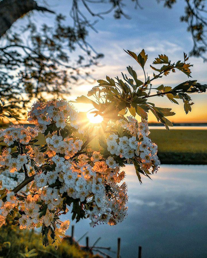 Sunrise

Happy Wednesday💛