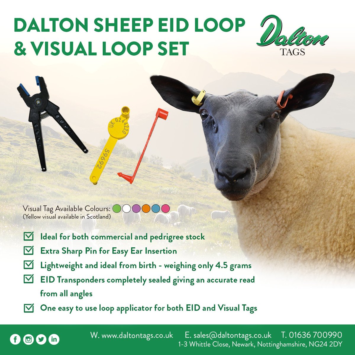 Have you got your sheep tags sorted?📷

Purchasing Dalton Sheep Tags has many benefits for both sheep and farmers.

Contact our team today for more information:
T. 01636 700990
E. sales@daltontags.co.uk

Or visit our range online > bit.ly/2UreNXo