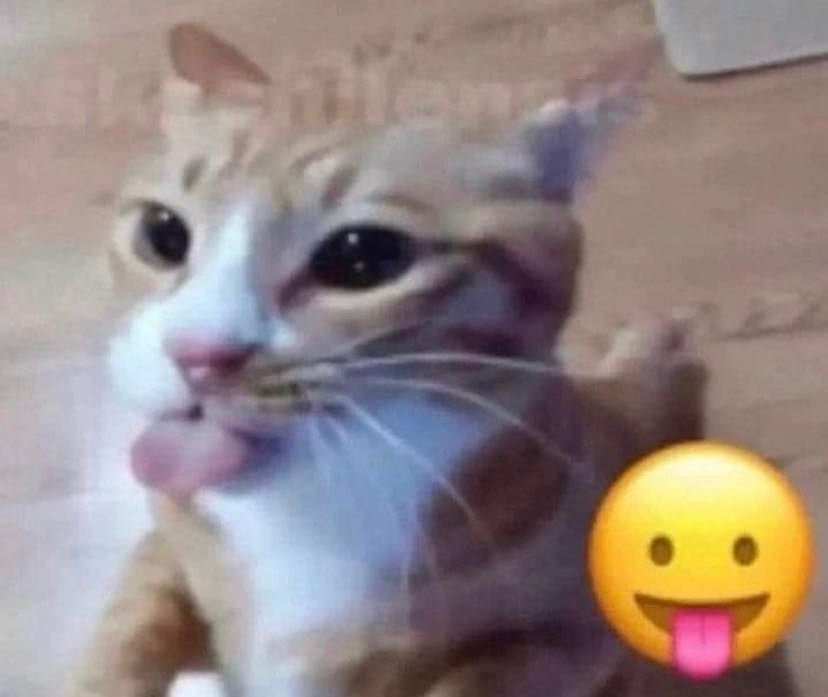 Aprhodite tweet media