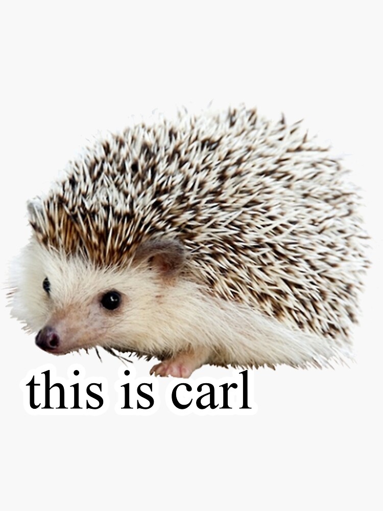 Carl The Hedgehog tweet media