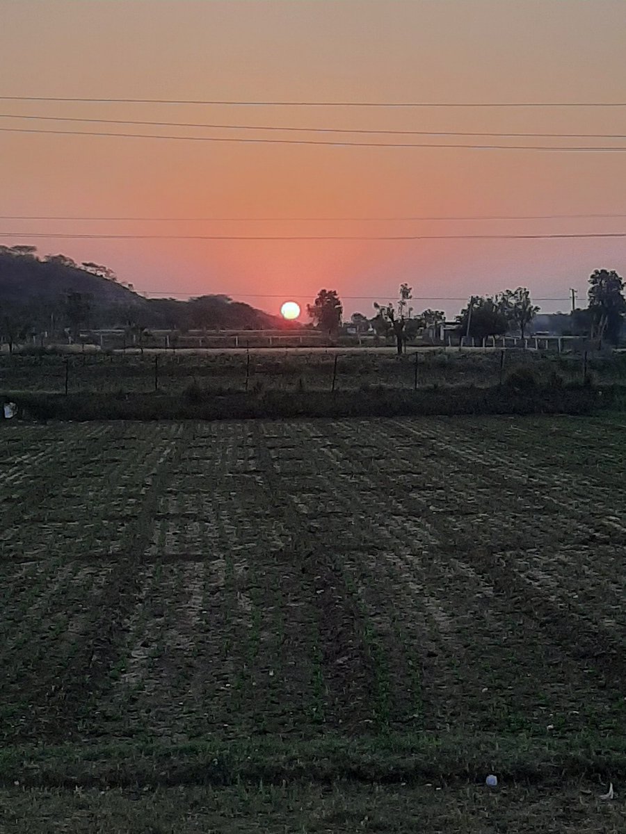 nareshk181's tweet photo. Good evening all x friends 
Dekh tu kebtave he
KAbhi khud bhi khelo baji jit ki
🌹🌹
#Mara_khet 
#Sun_set 
#Rahul_Gandhi #earthquake https://t.co/22HSlyyUWy