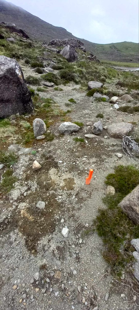 "Toileting and menstruation during seabird fieldwork." 

Eleanor Honan and @LilaBuckingham explore the importance of addressing toileting and menstruation challenges during remote seabird fieldwork, focusing on accessibility and sustainability. 

#CoimbraSeabirds