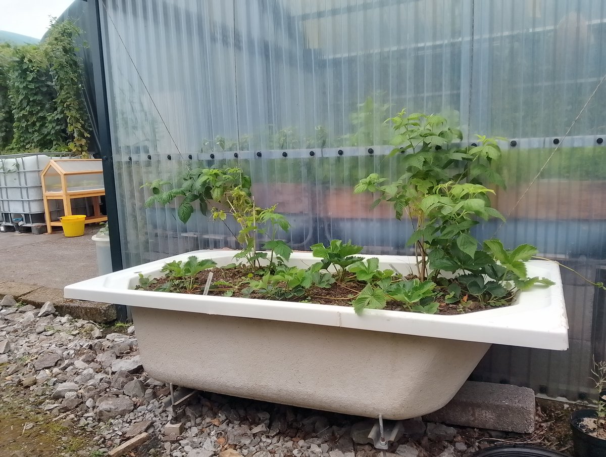 Keywater Fisheries tweet media