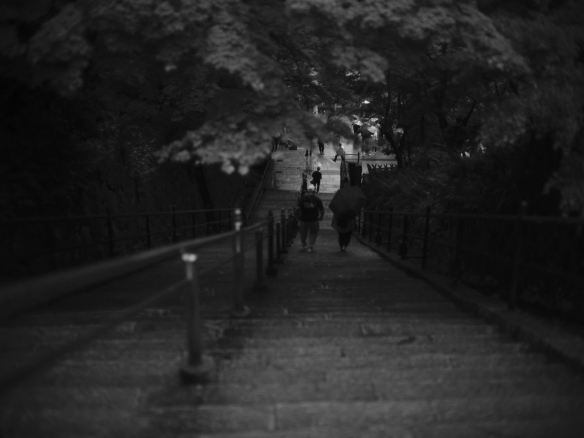 Monochrome people in Kyoto.

#fujifilm #gfx #gfx50r