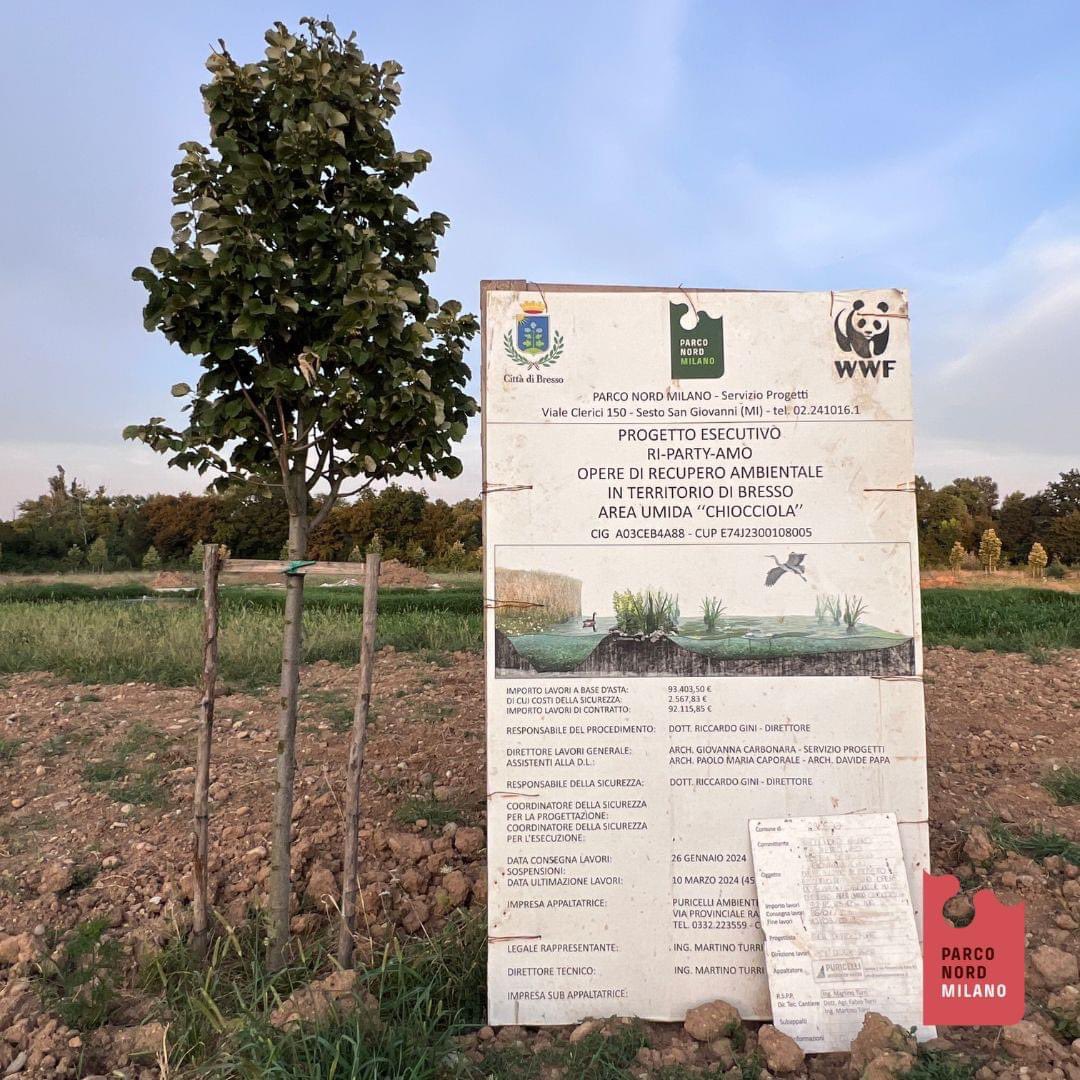 Avete visto i lavori in corso nell'area tra il velodromo e la ex-Item?

🌾Sta prendendo forma una nuova zona umida: un piccolo laghetto, piante acquatiche lungo le sponde, una spirale di tigli che formano una "chiocciola" e un percorso di lastre di calcestruzzo posate sul prato!