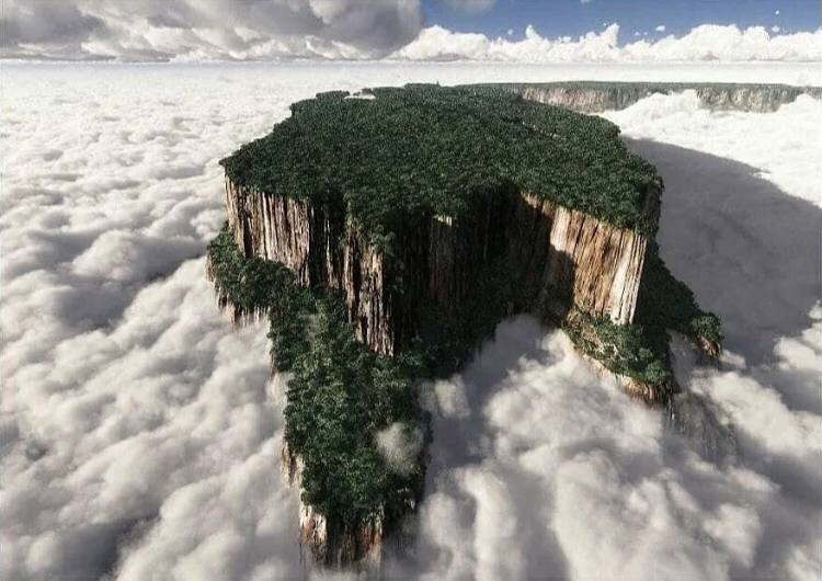 Kelly Davis tweet media