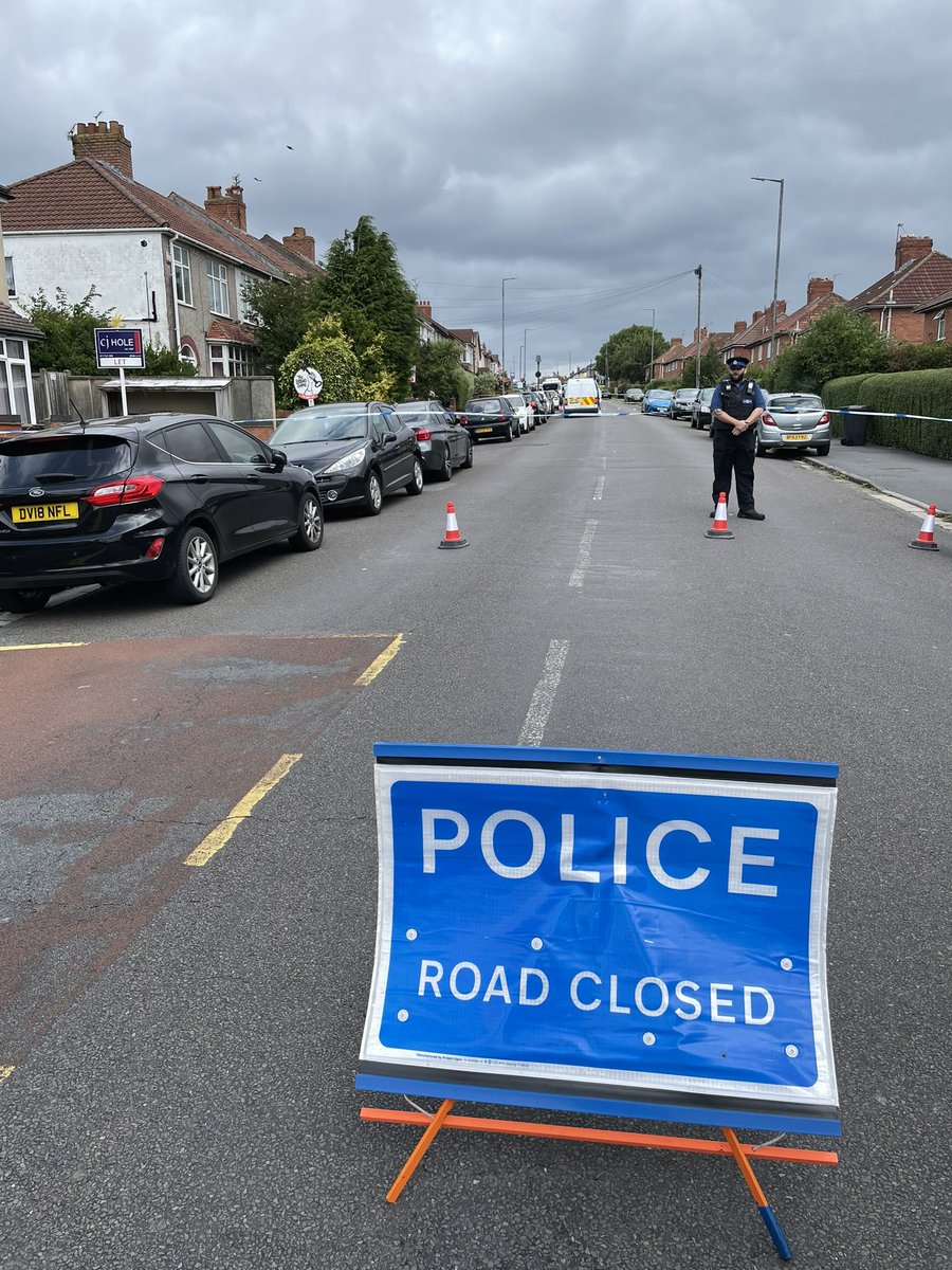 Max Walsh tweet media