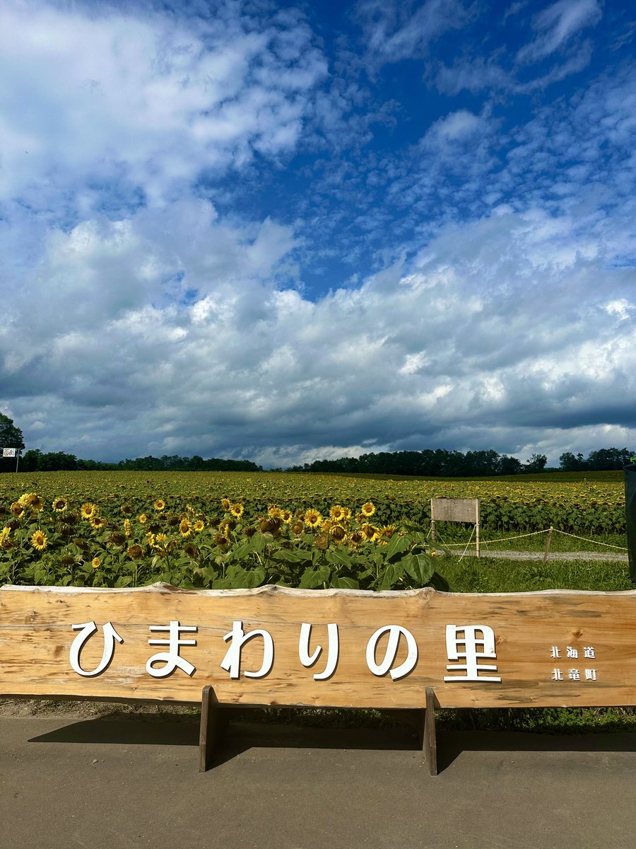 SignKeen's tweet photo. 🌻 https://t.co/3x7Kmqm6p1