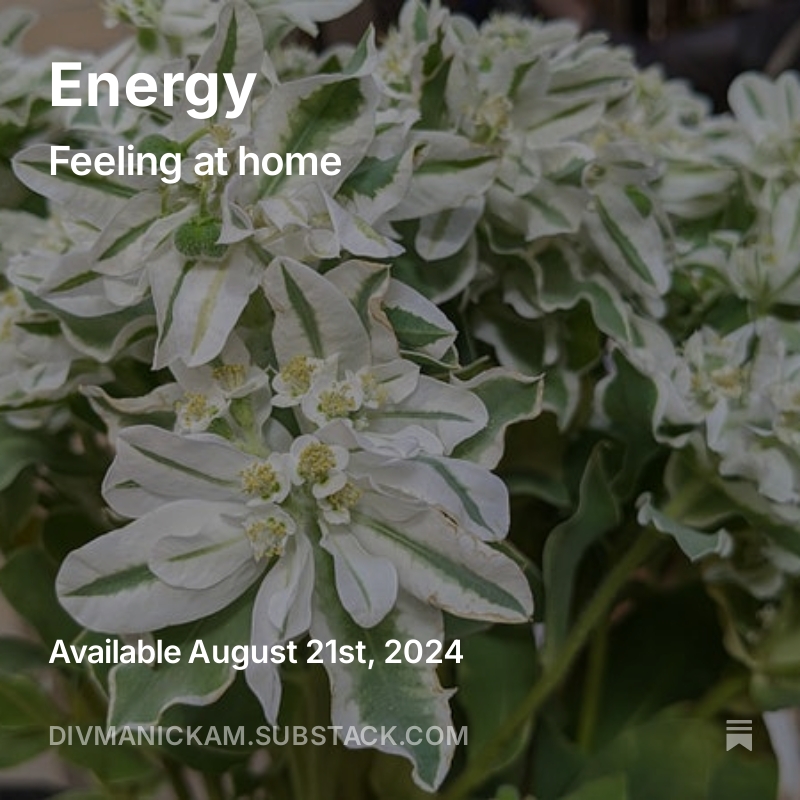 Div Manickam tweet media