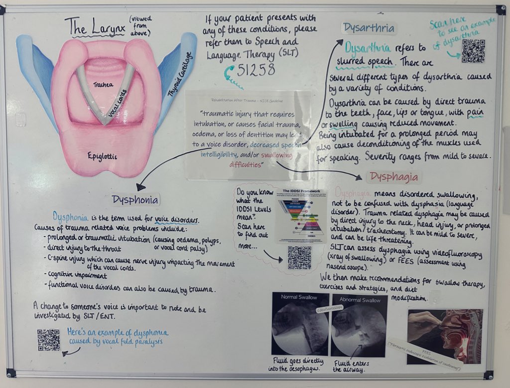 Janis Harvey (@janisharvey) on Twitter photo After reviewing NICE rehab after trauma guidelines the major trauma SLT team have taken over the education board! Great resource including how to refer and QR codes on swallowing and speech disorders.
<a href="/RachelBSLT/">Rachel Bodger</a> <a href="/traumasoutheast/">South East Trauma Network</a> <a href="/SLTLothianAdult/">SLTLothianAdult</a> <a href="/claire_sSLT/">Claire Simpson</a> After reviewing NICE rehab after trauma guidelines the major trauma SLT team have taken over the education board! Great resource including how to refer and QR codes on swallowing and speech disorders.
<a href="/RachelBSLT/">Rachel Bodger</a> <a href="/traumasoutheast/">South East Trauma Network</a> <a href="/SLTLothianAdult/">SLTLothianAdult</a> <a href="/claire_sSLT/">Claire Simpson</a>