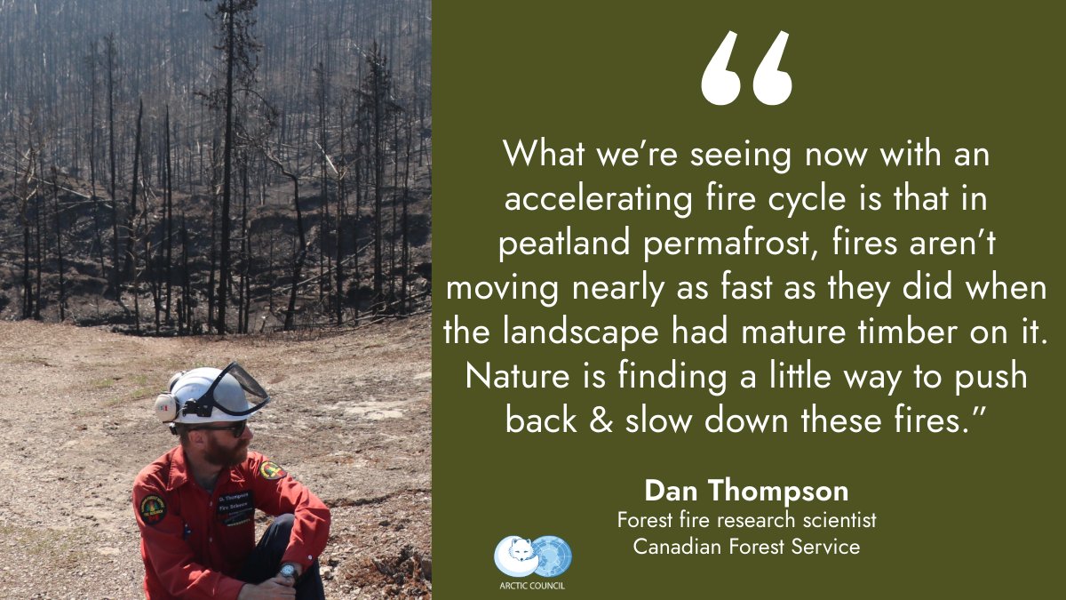 Arctic Council (@arcticcouncil) on Twitter photo Peatlands are vital ecosystems that help regulate our climate. What happens when wildfire burns through, accelerating permafrost thaw? Could peatlands have a natural way to push back?
We spoke with <a href="/CAFF_Arctic/">Conservation of Arctic Flora and Fauna (CAFF)</a> expert Dan Thompson to find out: arctic-council.org/news/impacts-o… Peatlands are vital ecosystems that help regulate our climate. What happens when wildfire burns through, accelerating permafrost thaw? Could peatlands have a natural way to push back?
We spoke with <a href="/CAFF_Arctic/">Conservation of Arctic Flora and Fauna (CAFF)</a> expert Dan Thompson to find out: arctic-council.org/news/impacts-o…