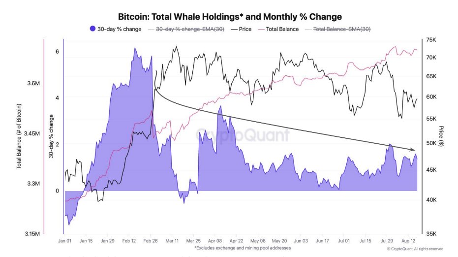 BlogKryptoPL's tweet photo. Podczas gdy wielu inwestorów detalicznych odczuwa frustrację z powodu stagnacji cen, instytucje i wieloryby cicho gromadzą #Bitcoin w rekordowym tempie. 

To zjawisko akumulacji Bitcoina przez instytucje może mieć ogromne znaczenie dla przyszłości rynku kryptowalut! https://t.co/qxBrxuUY60