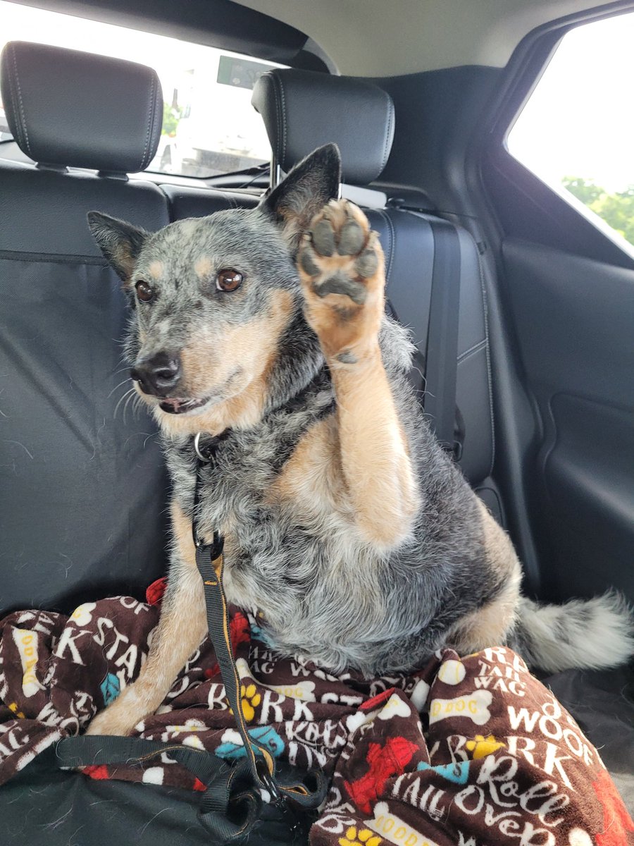 Michael Schnoor tweet media