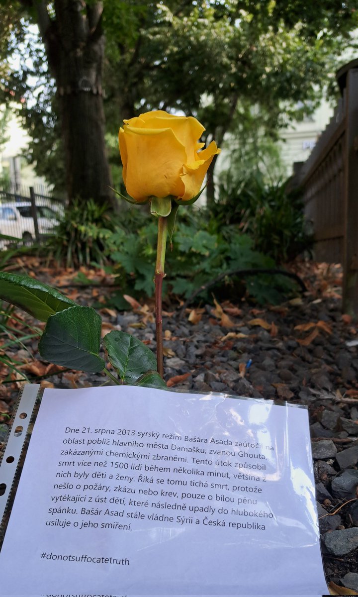 On 21/8/2013,Syrian regime launched a #chemical_attack on the #Ghouta area, This rose was planted in #Prague as a contribution by #SFJN, as part of a project aiming to plant 1,514 yellow roses, matching the number of chemical weapon victims in Syria
#Donotsuffocatetruth