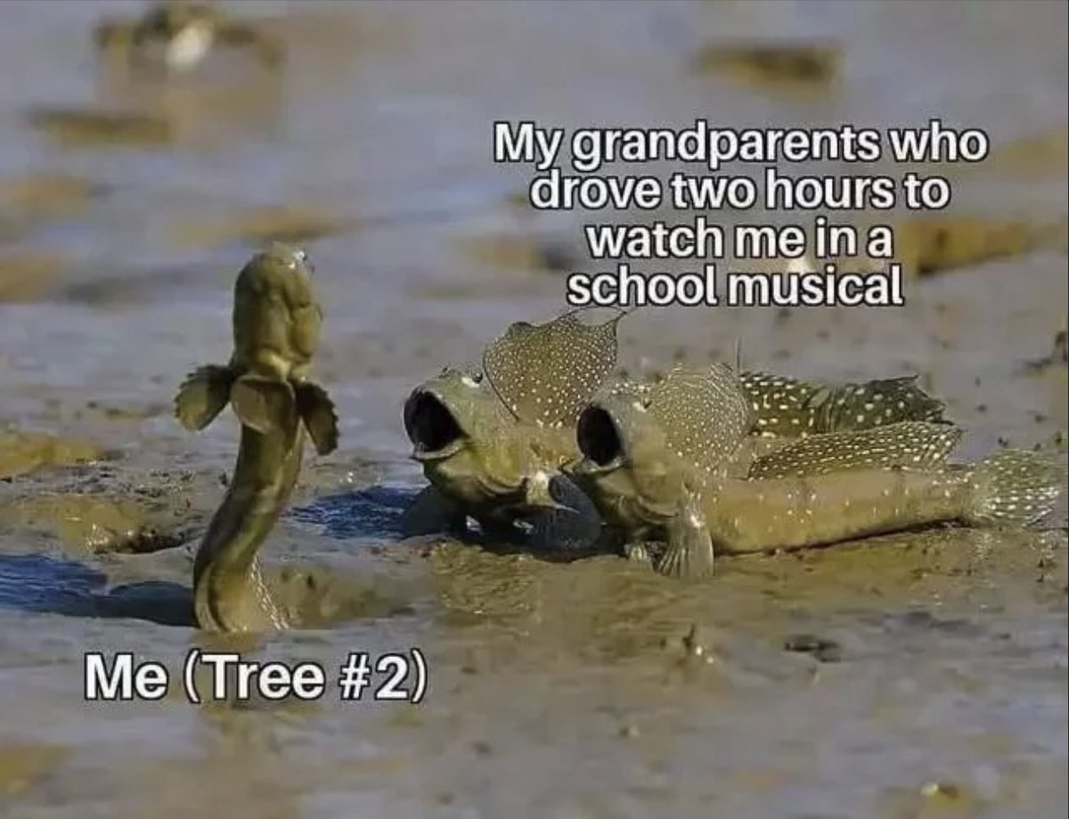 RespectfulMemes's tweet photo. https://t.co/It9ZuZNixZ