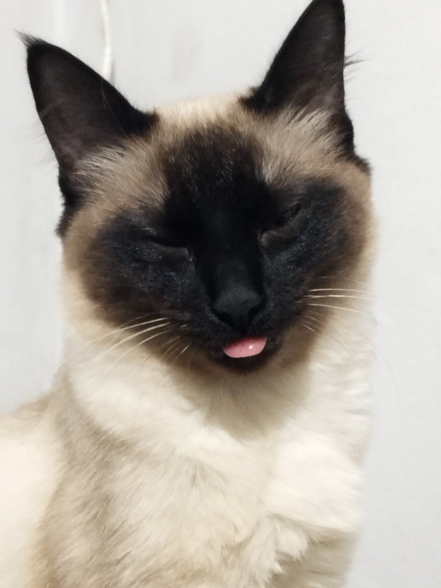 Amora ainda não tá na vibe do bom dia hoje