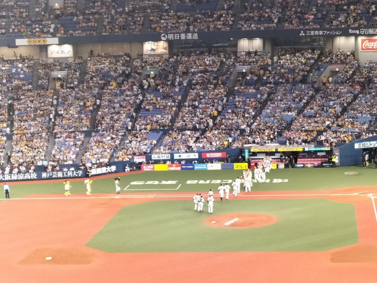 現地よりとらほー！