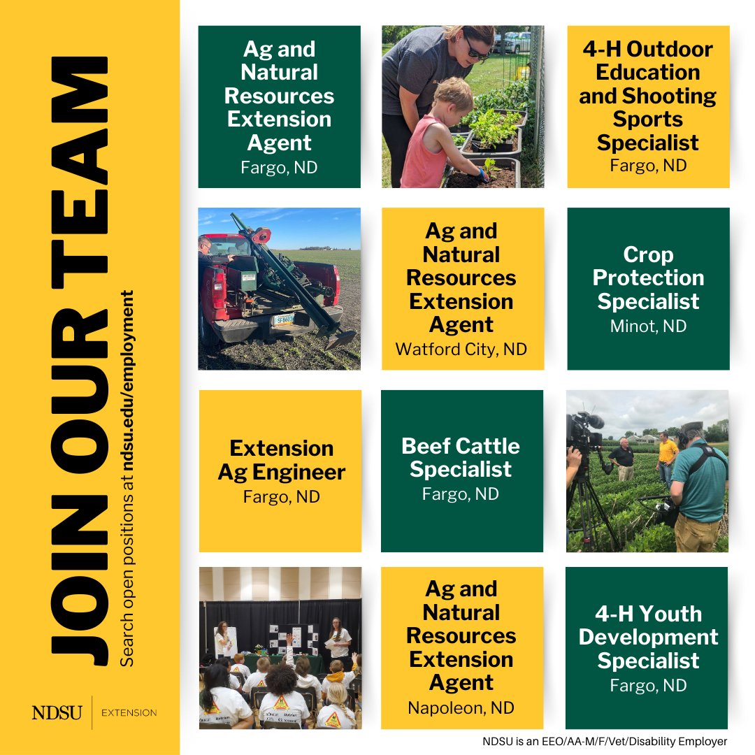 There's never been a better time to join our team. These are just a few of the exciting opportunities available with us.

Search our open positions &gt;&gt;&gt; ndsu.edu/employment