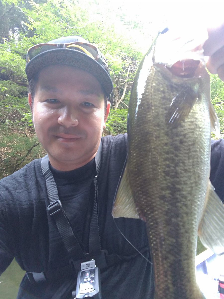 GOGOFiSHINGch's tweet photo. 今回はOSPさんと亀山湖で研修🙇榛名湖より水面ピクピクにハマってしまった自分は折木沢、猪川に行くも濁っており撃沈。ボイル打ちやカバーでとりあえず釣れました😉
エリマキシャッドのピクピクもくせになりそうです
#OSPvoice
#OSP
#エリマキシャッド
#ENGINE
#Writhe
#zeros
#ZPI https://t.co/ACWfxJKhQe