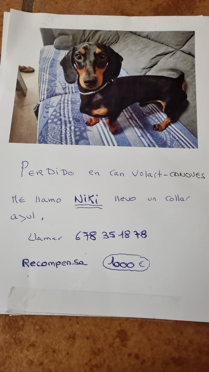 URGENTE!!!
Necesito ayuda por favor.Este perrito esta perdido desde hace dos días en la población de Cànoves i Samalús en  Barcelona( urbanización Can Volart)
Se escapó asustado y ya no ha vuelto.Hay rumores de que alguien lo ha cogido y se lo ha llevado.
Ofrecen recompensa
🙏😔