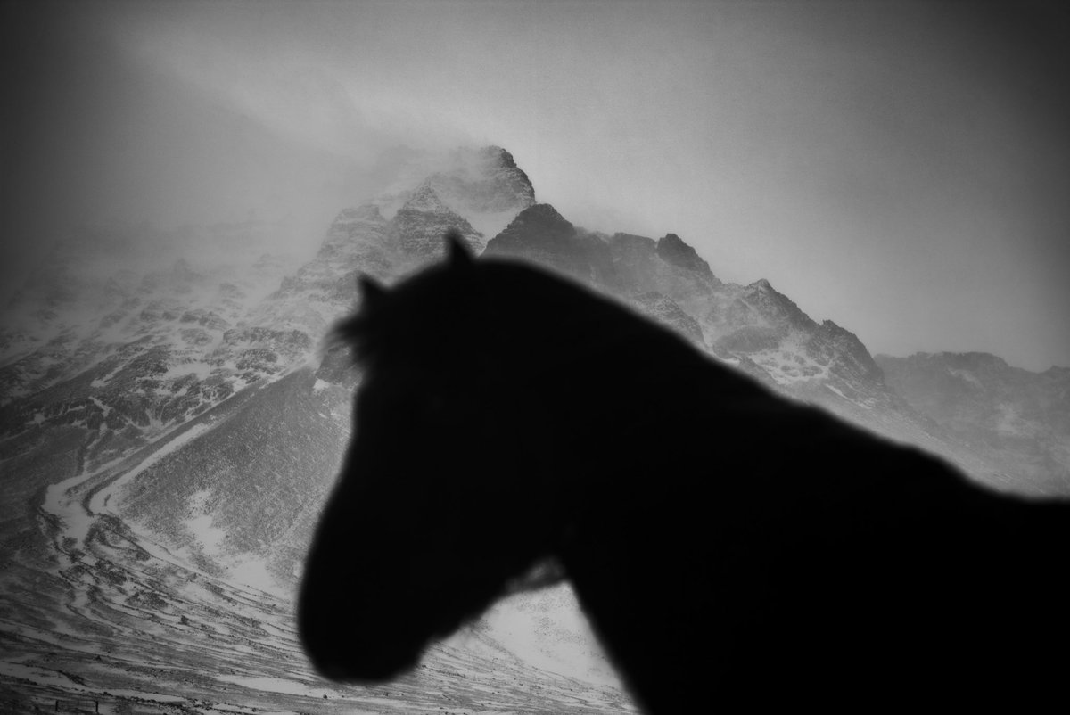 Lónssveit, South East Iceland, 2015