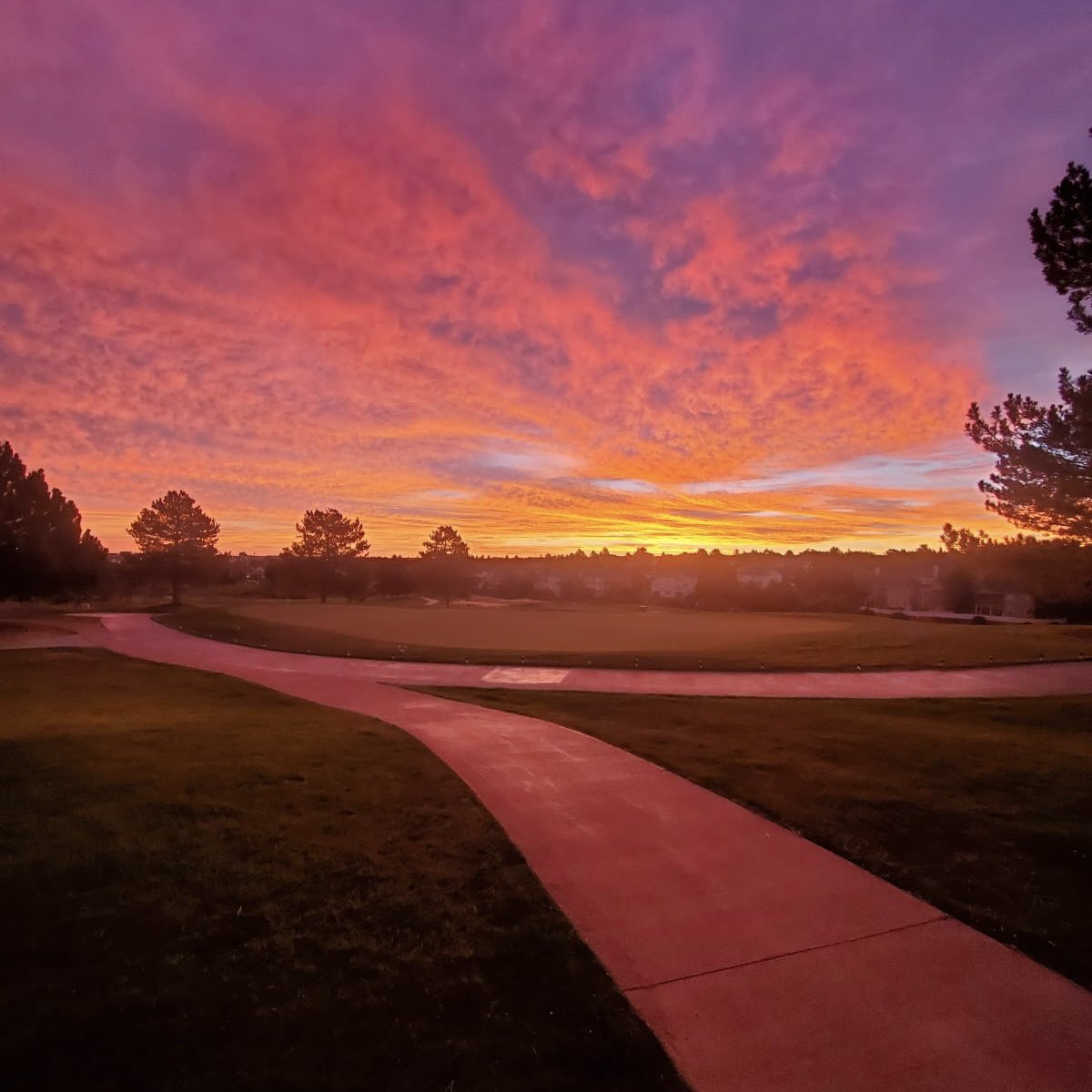 intlsportsmgmt's tweet photo. Perfect morning to kick off our #BMWChampionship week here in Colorado at Lone Tree G.C. for the International Sports Management, Inc. Golf Tournament!

#ISMEvents #ISMHospitality https://t.co/Eu7kbPYJTK