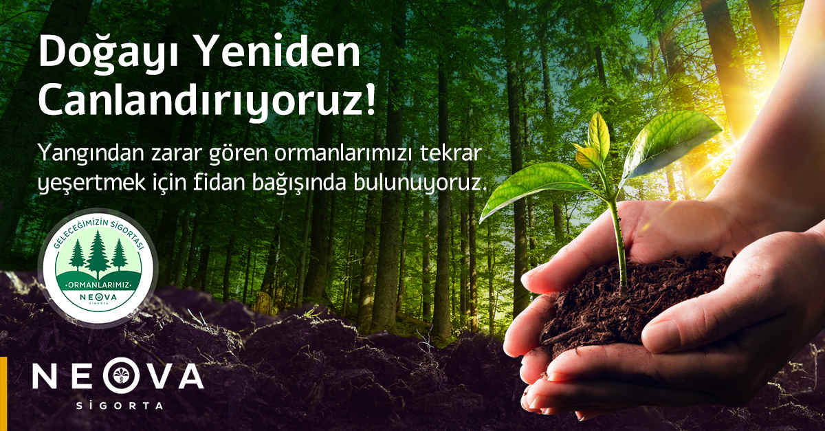 Ormanlarımızı yeniden yeşerteceğiz! 🌳

 Neova Sigorta olarak, her çalışanımız adına 10 fidan bağışlayarak doğanın yeniden hayat bulmasına destek oluyoruz. 

Sen de bir fidan dikerek bu harekete katıl, geleceğe nefes ol!

#YenidenYeşerecek #NeovaSigorta