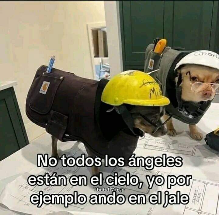 bruja_pititis's tweet photo. #NoTodos https://t.co/RYERdAZu6V