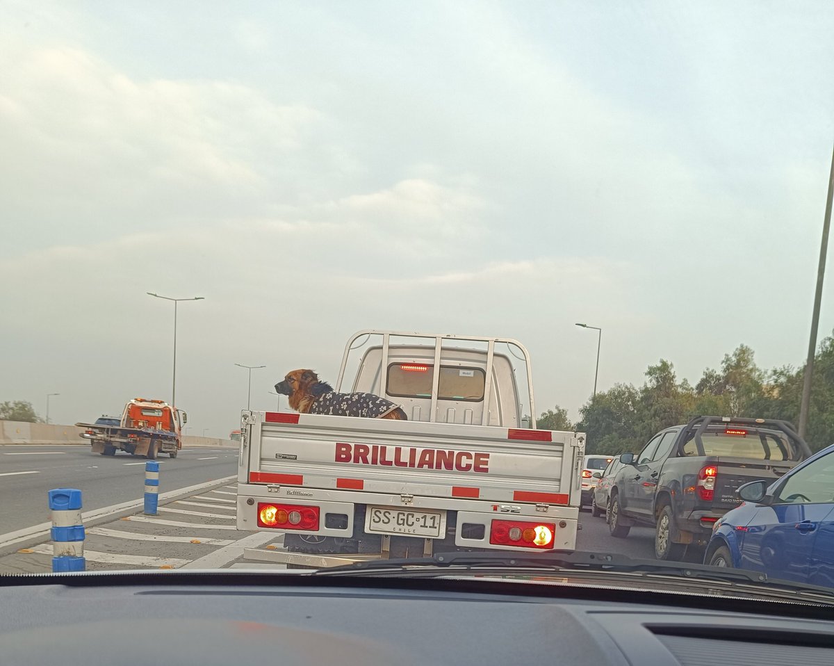 fantoniobelara's tweet photo. @CostaneraNorte_ @Carabdechile @Muni_Renca  
Camión saliendo de Costanera Norte, a través de salida Petersen, con un perro atrás sin amarrar.

7:54 / 21/08/2024.

Cómo es posible que haya pasado por cámaras de la autopista y no haya alguna acción? https://t.co/Jykfy98weQ