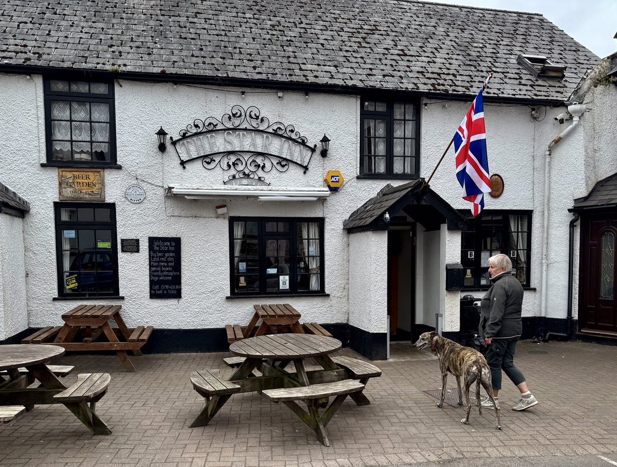 A stroll around Watchet. #Somerset #Wallart #Greyhound