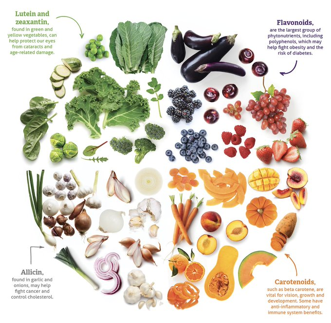 Longevity_EDU's tweet photo. A diet high in antioxidants should be a top priority!