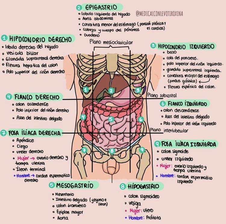 farmacotips's tweet photo. Patologias abdominales: https://t.co/5bKRSY7nqN