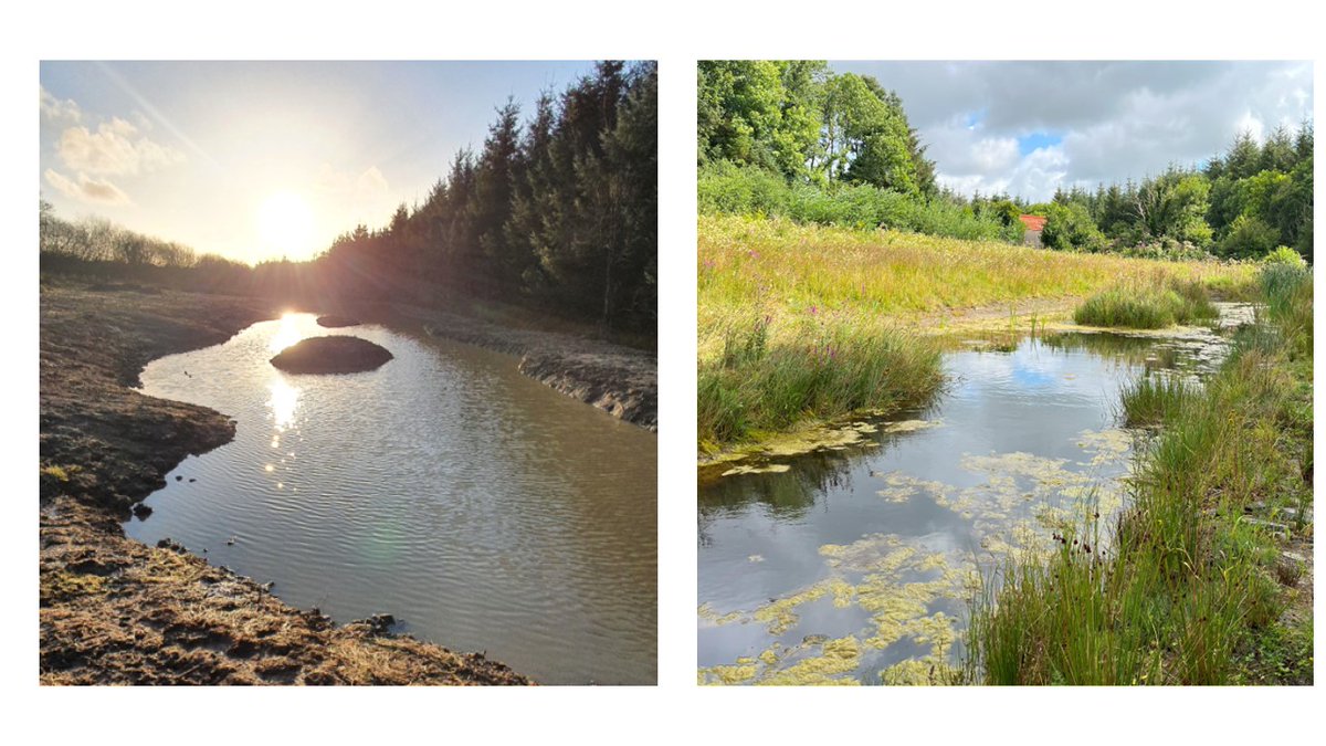 The Hare's Corner ponds 1 - 2 years after!📷📷 The Hare's Corner team has been visiting the habitats it has created over the past 2 years and we had to share these 'before' and 'after' images...so uplifting to see nature thrive and meet people who are giving it a helping hand!