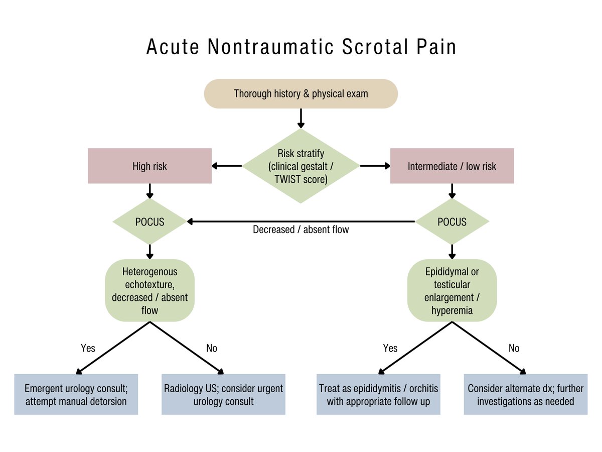 dan___kim's tweet image. Here is a suggested algorithm for how to implement #POCUS into the workup of nontraumatic scrotal/testicular pain
#ultrasound #POCUSfirst

From "Genitourinary Ultrasound" @colinrbell @GillianSheppar9 
🔗doi.org/10.1016/j.emc.…