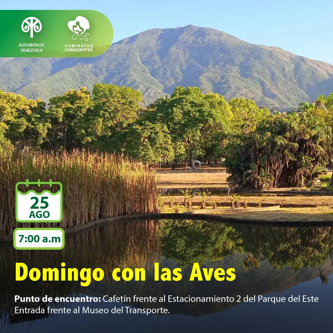 #DomingoconlasAves. En el marco del Día Mundial de los Parques Nacionales, con el PN Waraira Repano a nuestro norte, nos encontraremos el #25Agosto para admirar las aves libres del #ParquedelEste. Es gratuito. Regístrate en forms.gle/c4FUq9unhupuJr…. Ver más instagram.com/p/C-5VXqkO0aO/…