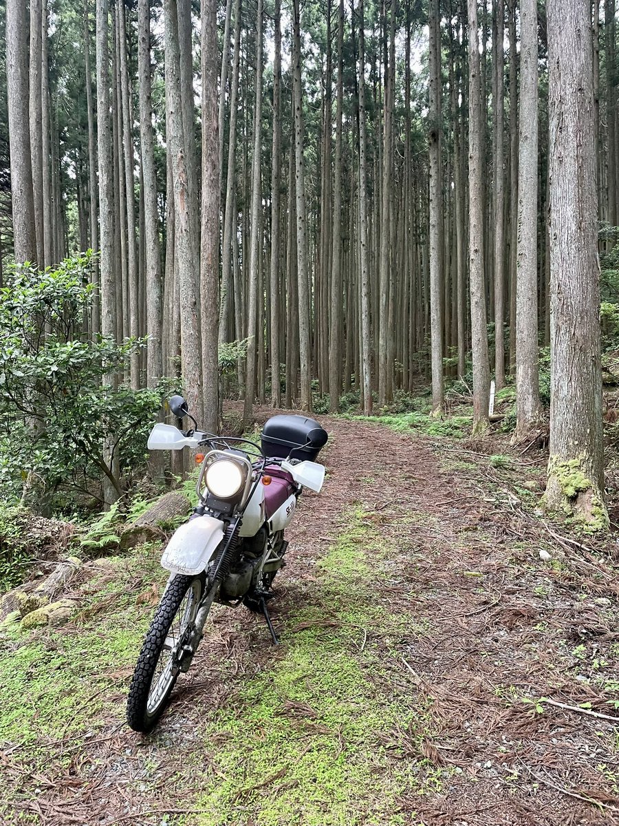 Tdotcar1296's tweet photo. #スズキ乗りは繋げて
ちっこくて可愛いやつら https://t.co/fqOCNZVAwJ