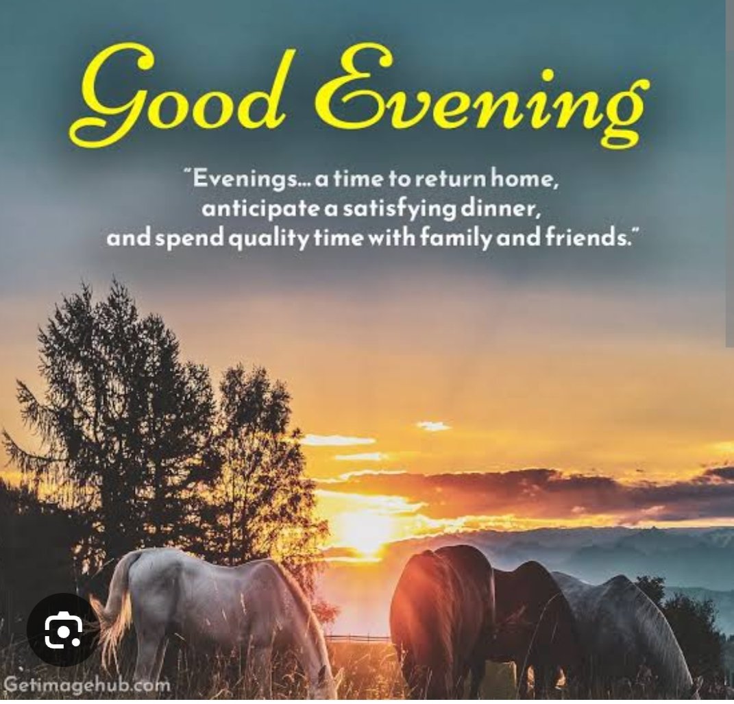 B2shaumya's tweet photo. शायद शाम।इसलिए होती है की सुबह के निकले सारे परिंदे अपने घर को लौट❣️❣️❣️❣️ https://t.co/40VHQm9dPl