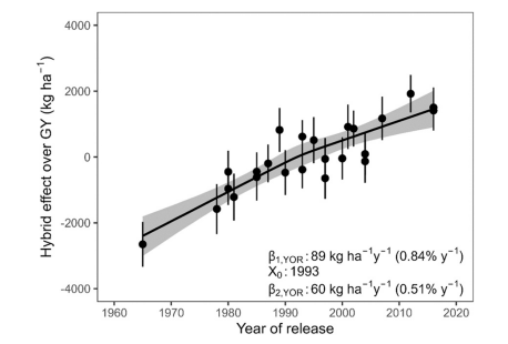 El mejoramiento genético aumentó el rendimiento de maíz 0.84% cada año entre 1965 y 1993 y 0.51% entre 1993 y 2016. 
Mayor número de granos y producción de biomasa. Índice de cosecha aumentó hasta 1993 y se estancó luego. Experimentos en área Pergamino.