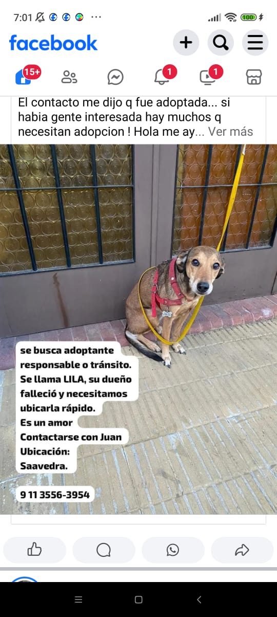 patripeyrou's tweet image. Difundimos