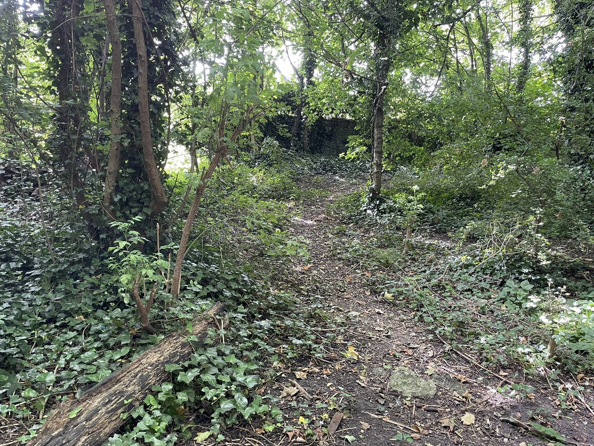 Fantastic lunchtime spent visualising Roman Southampton with <a href="/andyvskinner/">Andy Skinner</a> . Photo taken from the base of the inner fosse looking south along the ditch.