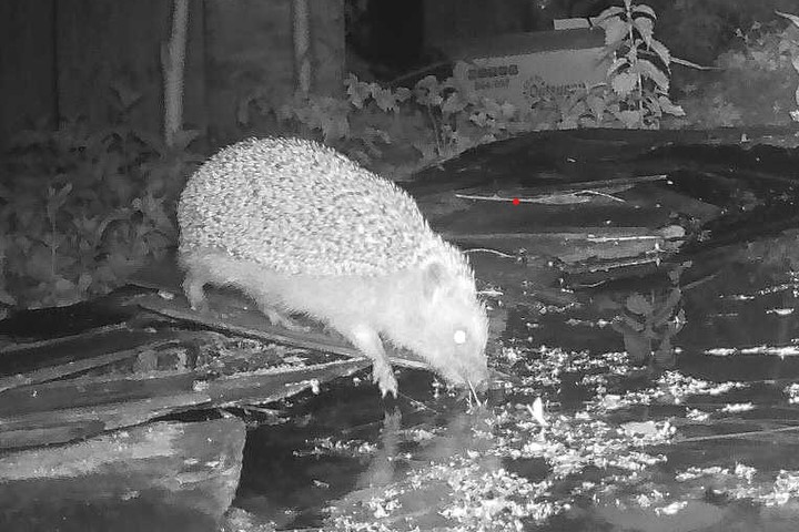 FSC Juniper Hall tweet media