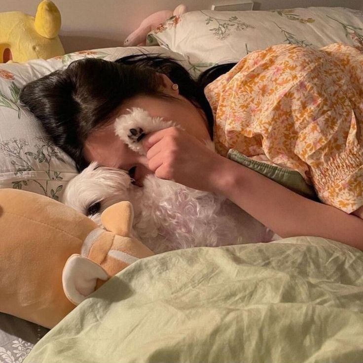 nanglalambing's tweet image. ͏͏͏͏͏͏  
͏͏͏͏͏͏    ͏͏͏͏͏͏
͏͏͏͏͏͏
ㅤㅤㅤㅤraia.⠀⠀ posted an update 𝜗𝜚 
ㅤㅤㅤㅤ☾ 082124 ㅤ| ㅤ𖡡 disabled 

‌ᯓ ❥  nap muna kami ni mallows while waiting for dada 😴  
͏͏͏͏͏͏
͏͏͏͏͏͏