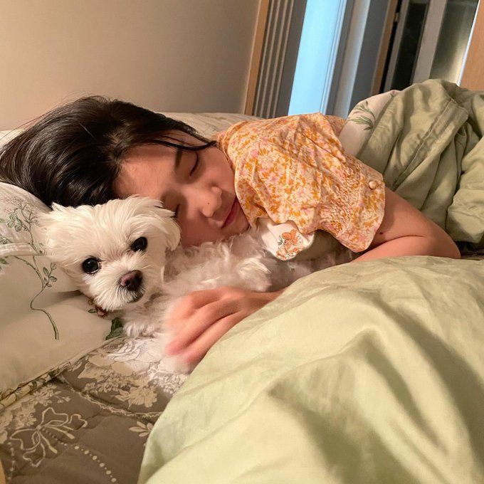 nanglalambing's tweet image. ͏͏͏͏͏͏  
͏͏͏͏͏͏    ͏͏͏͏͏͏
͏͏͏͏͏͏
ㅤㅤㅤㅤraia.⠀⠀ posted an update 𝜗𝜚 
ㅤㅤㅤㅤ☾ 082124 ㅤ| ㅤ𖡡 disabled 

‌ᯓ ❥  nap muna kami ni mallows while waiting for dada 😴  
͏͏͏͏͏͏
͏͏͏͏͏͏