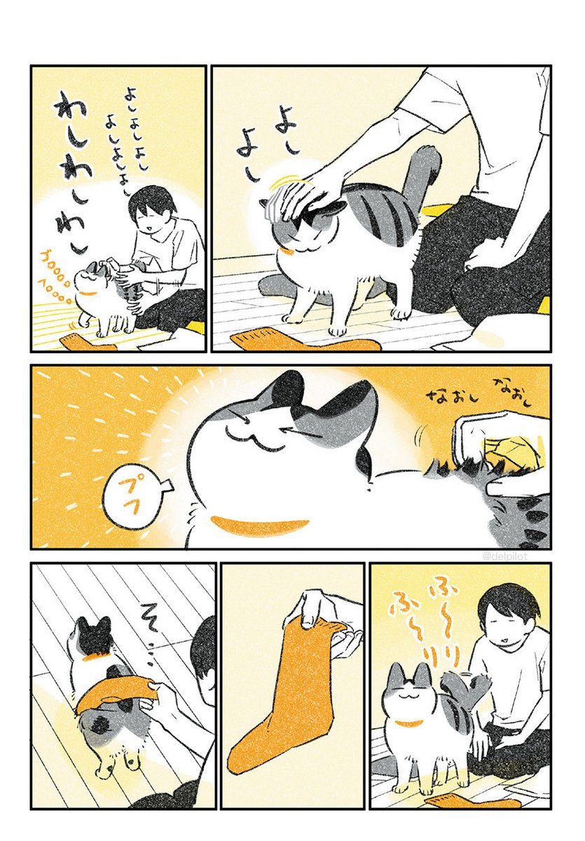洗濯物と猫 