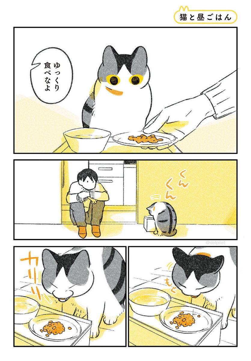 猫と昼ごはん 