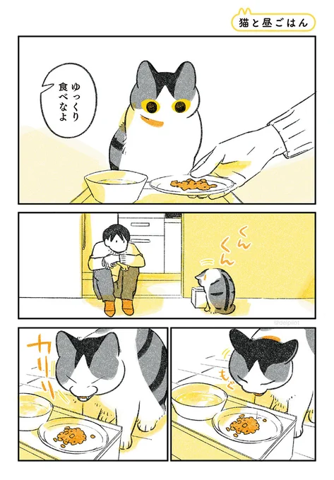 猫と昼ごはん 