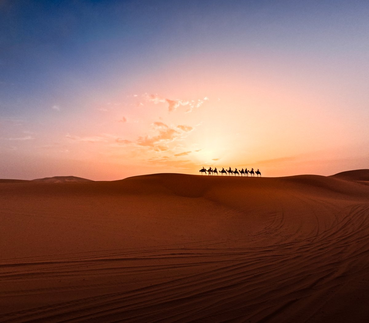 GoPro's tweet photo. Photo of the Day: Happy hump day from the Sahara Desert 🐫🇲🇦 Subscriber Anastasios Koufopantelis captured their travels on #GoProHERO12 Black to earn this $500 award.

#GoPro #Morocco #Travel #GoProTravel #Sunset #Sahara #Camel https://t.co/mTUBtwUoK5